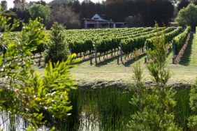 Merricks Creek Wines Mornington